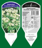 BYLINY-ŚWIERK taimeaed mitmeaastased taimed kõrrelised sõnajalad Poola 06